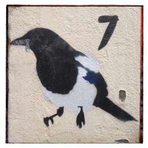 magpie-7